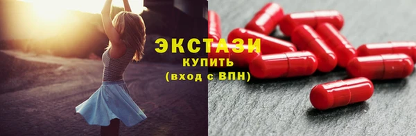 гашик Алексин