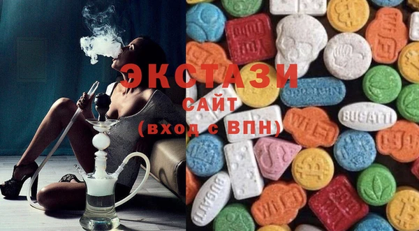 гашик Алексин