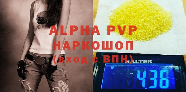 гашик Алексин