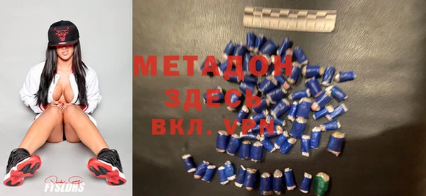 гашик Алексин